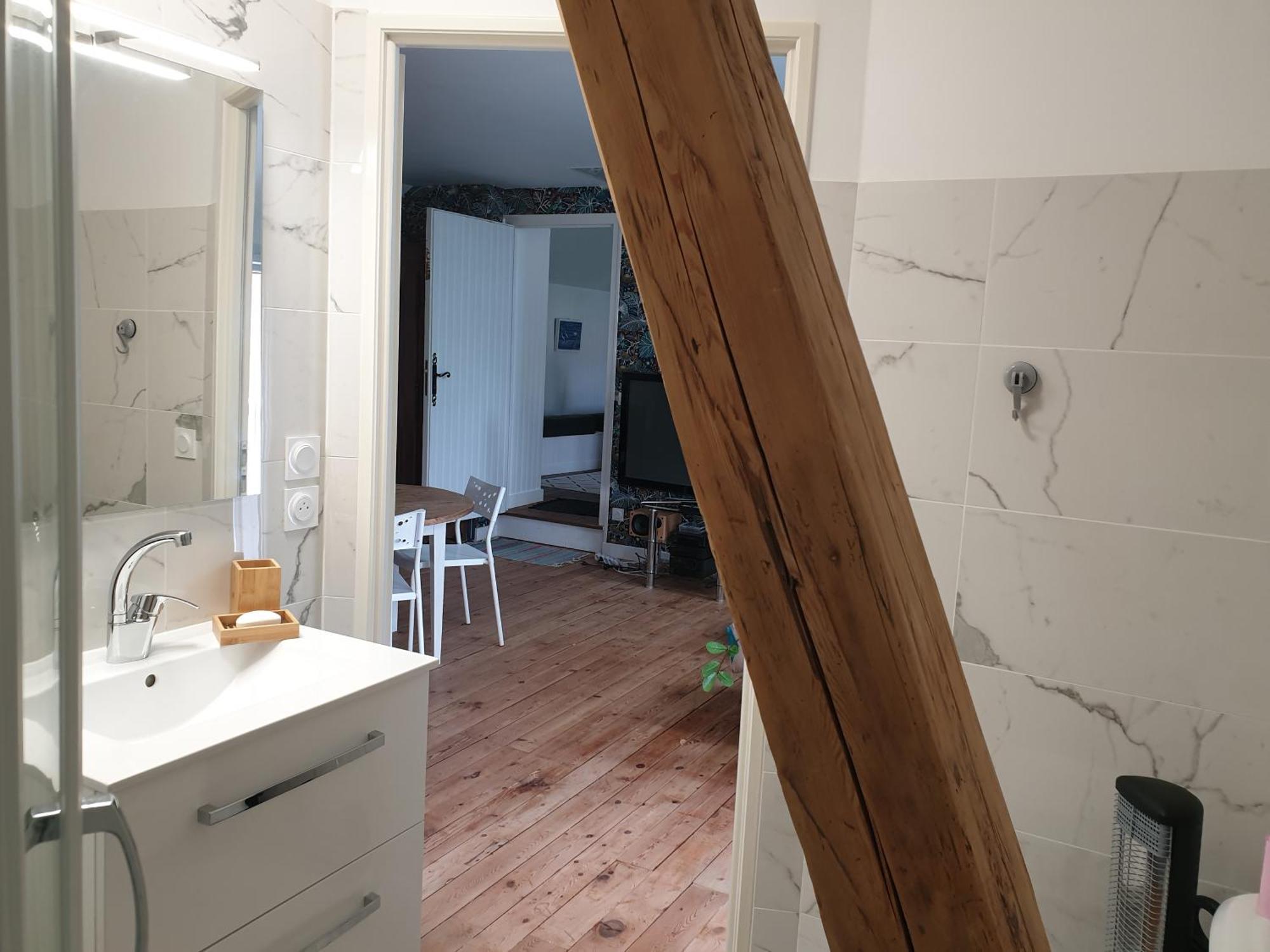 L 'Appartement Du Rocher Шато-дю-Луар Екстер'єр фото